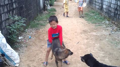 xxx boy and dog